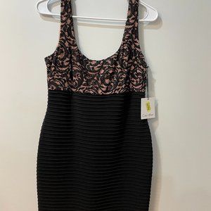 Calvin Klein Bodycon Dress- Size 8, Black and Blush (NWT)